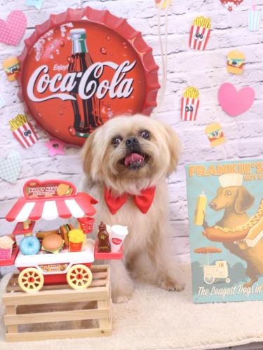 20230910ムーくん